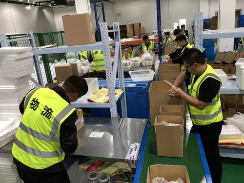 什么 破億 雙11 云起 臨浦 網(wǎng)紅曲奇 akoko 當(dāng)日銷售千萬 看進(jìn)來